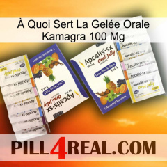 À Quoi Sert La Gelée Orale Kamagra 100 Mg 12